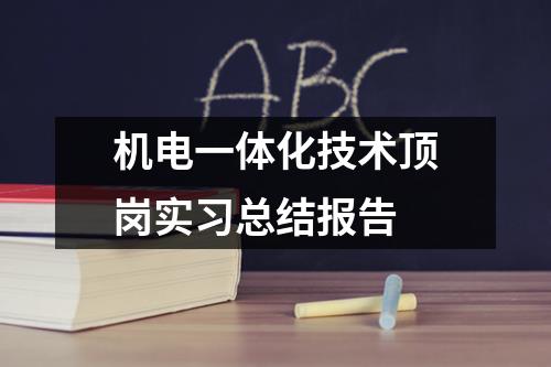 机电一体化技术顶岗实习总结报告